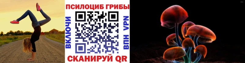 наркотики  Грязи  Псилоцибиновые грибы Cubensis 