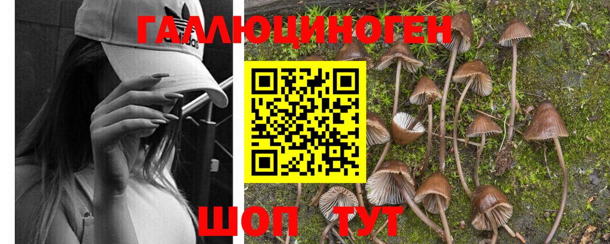 Псилоцибиновые грибы MAGIC MUSHROOMS Грязи