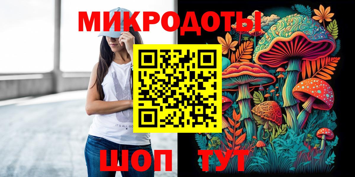 Псилоцибиновые грибы GOLDEN TEACHER  Галлюциногенные грибы GOLDEN TEACHER  где продают наркотики  Грязи  Вход с VPN 